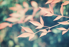 阜阳亲子鉴定可以提供哪些样本(司法迁户亲子鉴定的机构地址)