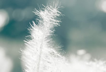 财务室风水问题(财务室风水方位)