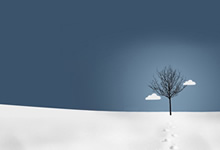 衡水亲子鉴定哪个公司好?正规DAN亲子鉴定机构推荐!